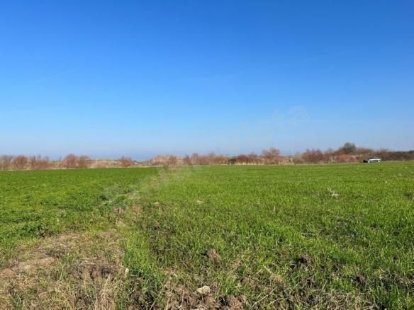 Çanakkale-Biga-Gerlengec