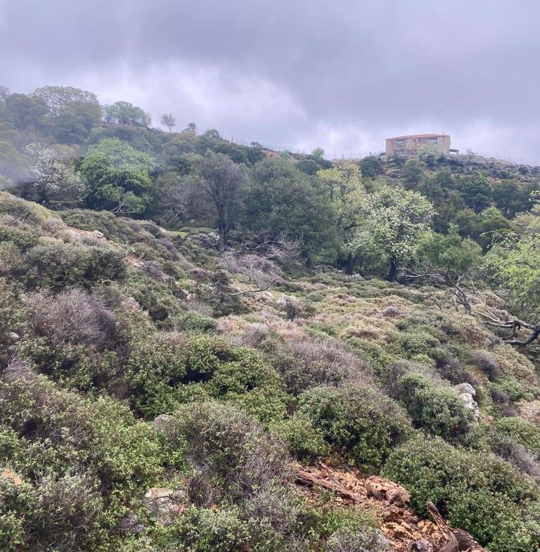 Çanakkale-Gökçeada-Tepeköy