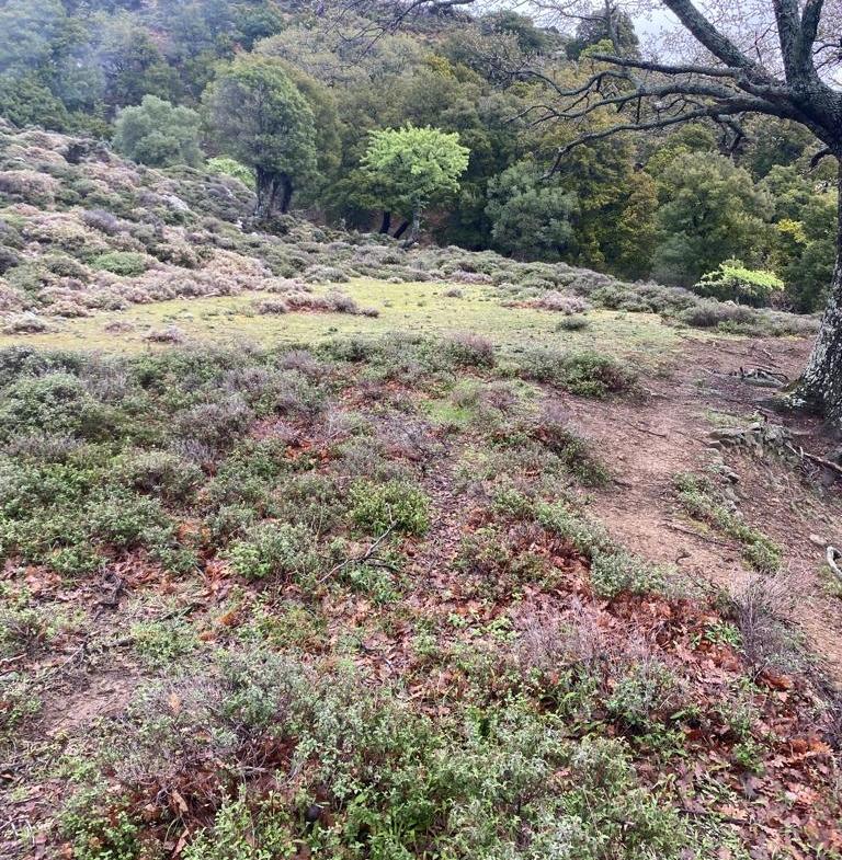 Çanakkale-Gökçeada-Tepeköy