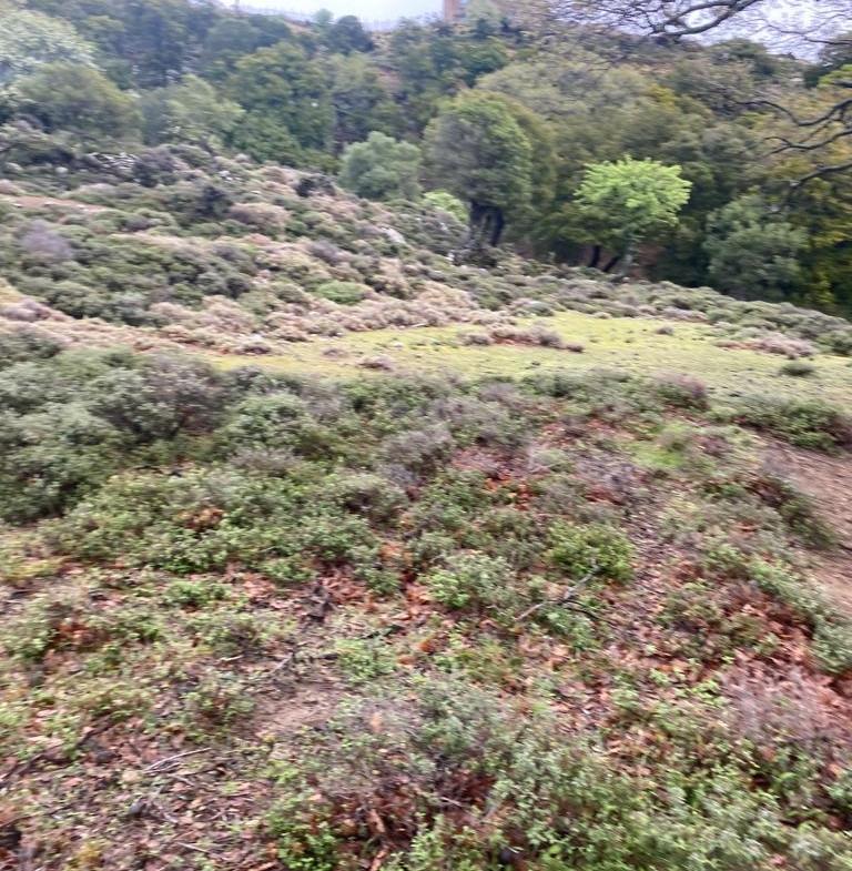 Çanakkale-Gökçeada-Tepeköy