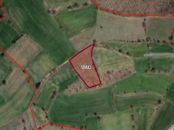 canakkale-Biga-Harmanlı-1724-Parsel