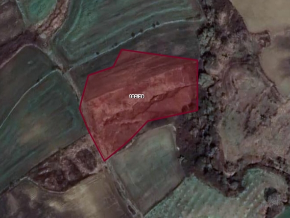 Çanakkale / Biga / Yenimahalle